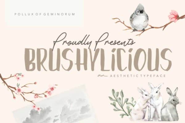 Brushylicious Aesthetic Hand-drawn Brush Font Preview for Greeting Cards