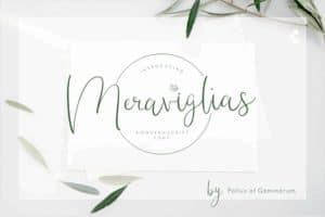 Meraviglias Modern Script Aesthetic Font Preview for Cosmetic Packaging
