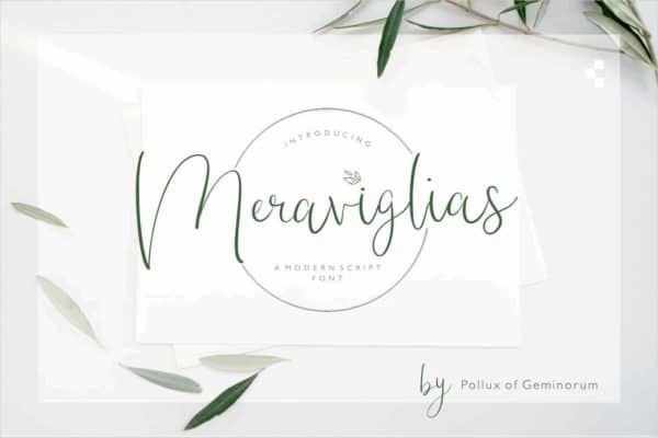 Meraviglias Modern Script Aesthetic Font Preview for Cosmetic Packaging