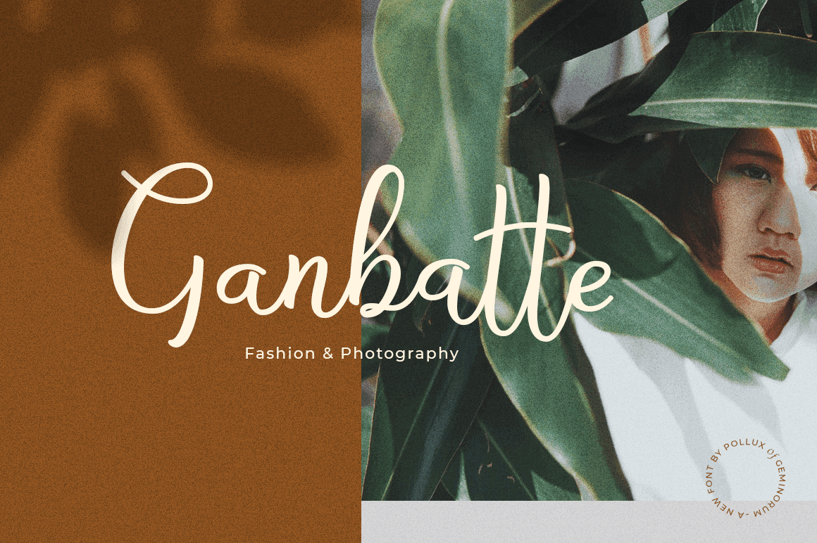 Bryan Letter Elegant Script Font Preview for Cosmetic Logo and Branding