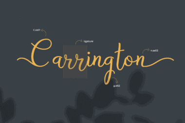 Bryan Letter Elegant Script Font Preview for Cosmetic Logo and Branding