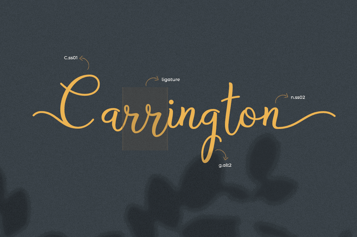 Bryan Letter Elegant Script Font Preview for Cosmetic Logo and Branding