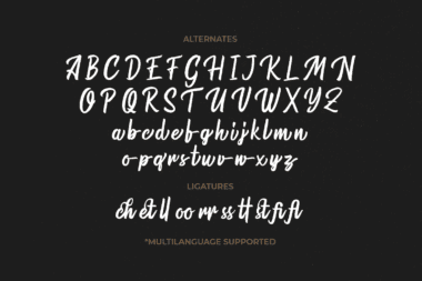 Warrington Modern Brush Font Logo and Coffee Shop Signage