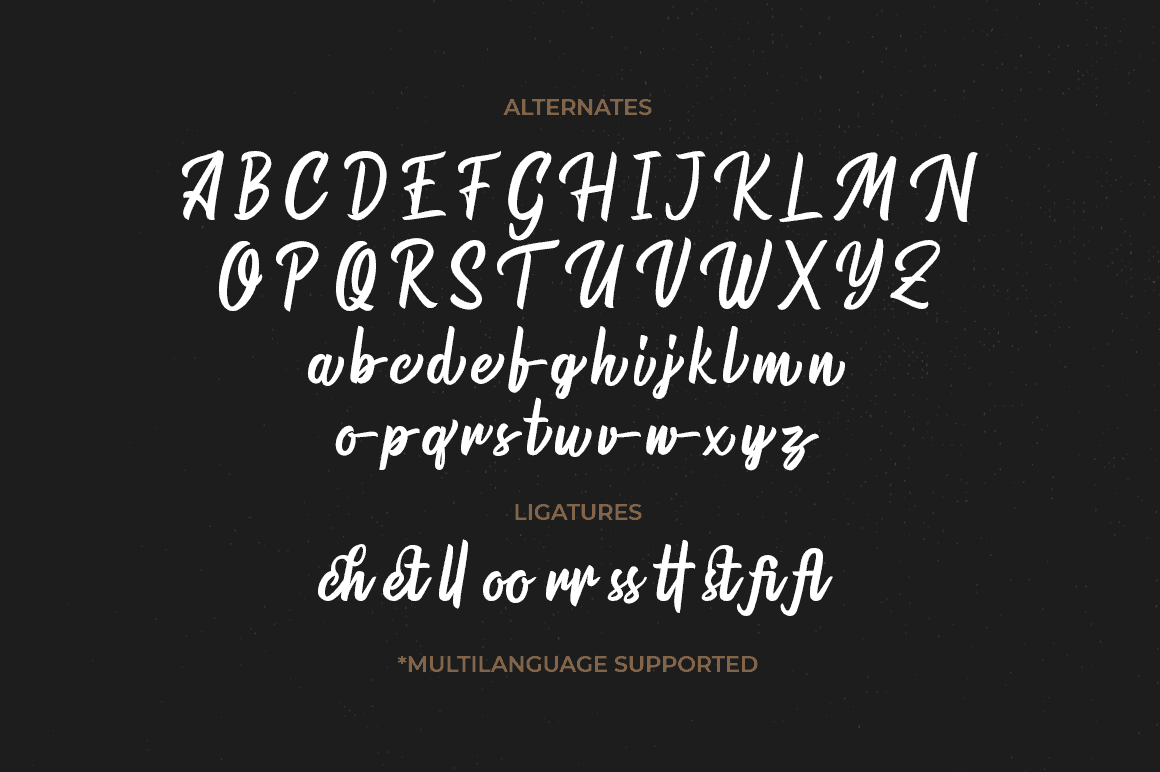 Warrington Modern Brush Font Logo and Coffee Shop Signage