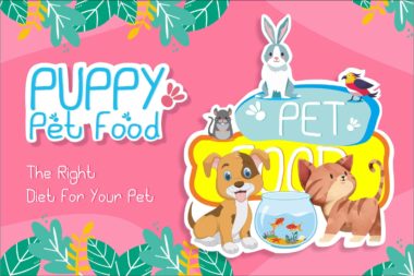Kid Tribe Playful Kids Display Font for School Posters and Packaging