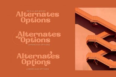 bold font borrachudo alternates
