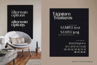 Branding Font